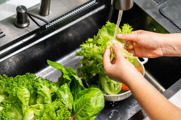Hands gently rinse fresh salad greens under flowing water in a home kitchen. In a kitchen sink vibrant salad vegetables are thoroughly washed clean eating.