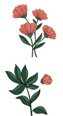 Floral Illustration Of Pink Flowers With Green Leaves On Black Background