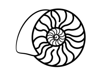Obraz premium Stylized cross section of a nautilus shell