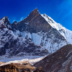 Mount Fishtail or Machhapuchhare of nepal Himalaya covered in snow. Blue sky in background.