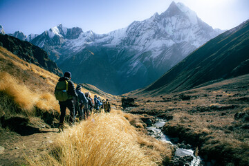 Trekking in Himalaya with group of trekkers hiking on highland valley of nepal with snow capped mt. Fishtail or Machhapuchhare mountain in background.