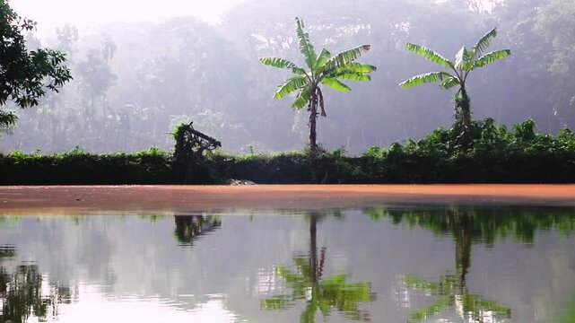 Serene Tropical Morning Jungle with Banana Trees Reflecting in a Calm Pond in Cinematic Slow Motion. Calm water creating a flawless mirror reflection of the lush scenery above
