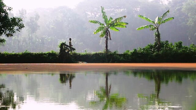 Rural Morning Walk by Tropical Pond with Banana Trees in Serene Slow Motion. The scene beautifully captures a solitary figure walking along the bank of a tranquil pond