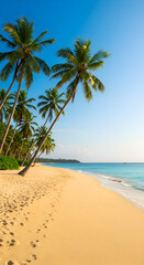 Obraz premium Photo Palm Trees On Sandy Beach With Turquoise Water Under Blue Sky