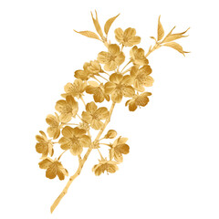 Isolated Golden Blossom Branch Illustration on Transparent Background