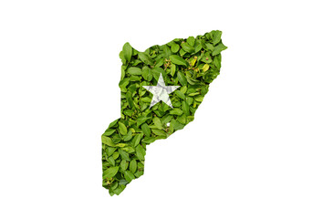 Isolated Green Leaf Map Shape With White Star Symbol On Transparent Background Illustration