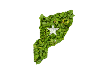 Isolated Green Leaf Map Shape With White Star Symbol On Transparent Background Illustration