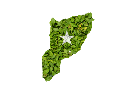 Isolated Green Leaf Map Shape With White Star Symbol On Transparent Background Illustration