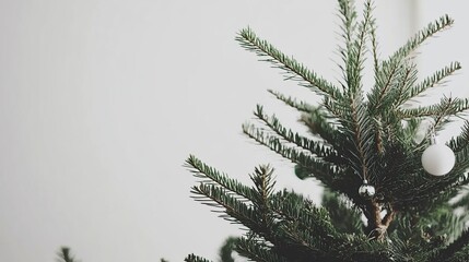 Obraz premium Close-up of a Christmas tree top, featuring fresh green needles and simple white and silver ornaments. Pale background