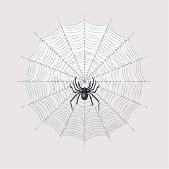 Fototapeta premium Intricate Spiderweb with Black Spider A Spooky Halloween Illustration