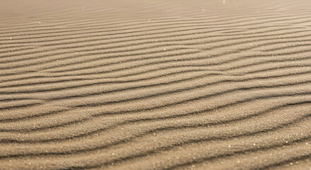 Sand dune texture with rippled patterns in natural light. Close-up of detail in wind-formed sand formations. Desert landscape -
