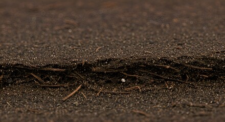 Fototapeta premium Close-up view of soil layers with organic matter. Detailed texture of dark brown soil, showcasing different layers and organic components.