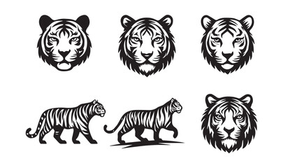 Black and white tiger heads and walking tigers graphic set animal big cat