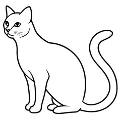 line art vector illustration 