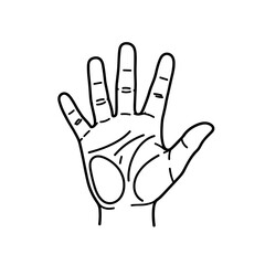 Obraz premium Unveiling the secrets of your palm through detailed hand reading and palmistry analysis for personal insight