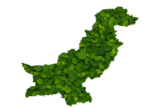 Pakistan Map Silhouette Made Of Green Leaves With Transparent Background