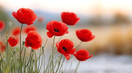 Naklejka premium Vibrant red poppy flowers blooming in a serene landscape, capturing the essence of nature's beauty and tranquility.