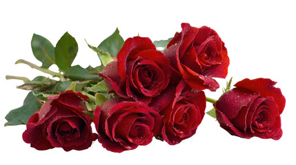 Fototapeta premium A beautiful bouquet of red roses on a white isolate background.