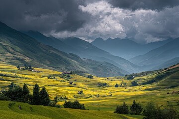 Mountainous valley with yellow rice paddies under a dramatic sky