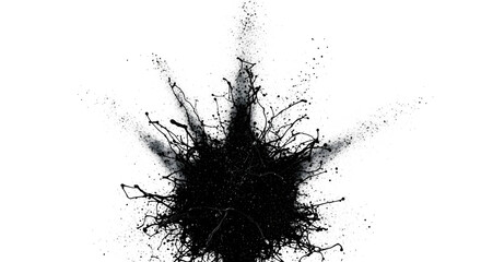 paint, brush strokes, Abstract black in splash, stain grunge isolated on white background, Japanese style with Generative AI. 