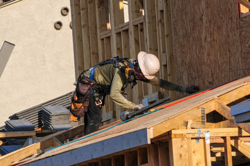 A construction worker secures roofing materials on a wooden frame during home construction, using safety gear and tools as part of residential housing development