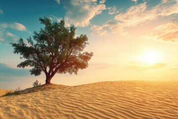 Solitary tree on a sandy dune at sunrise