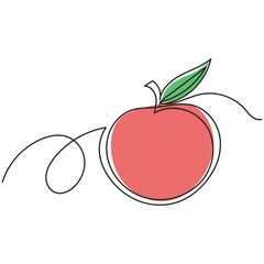 Color drawing line apple on the white background. Vector
