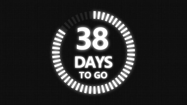 81 days to go, 81  days count animation, motion graphics running numbers counting days, 81  days in a month, 81 days left, 4K HD video with  Grid and Black background alpha channel.4k 