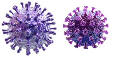 3D virus featuring a textured purple spherical surface with spike-like projections, representing a detailed isolated on a transparent background