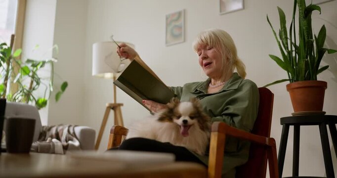 Elderly woman wipes away tears puts on glasses and laughing while reading a sad novel with a confusing plot while sitting on a chair with a dog in a cozy apartment