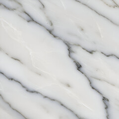 White marble surface with dark grey veining. Detailed close up of natural marble texture. High quality marble slab for interior design.