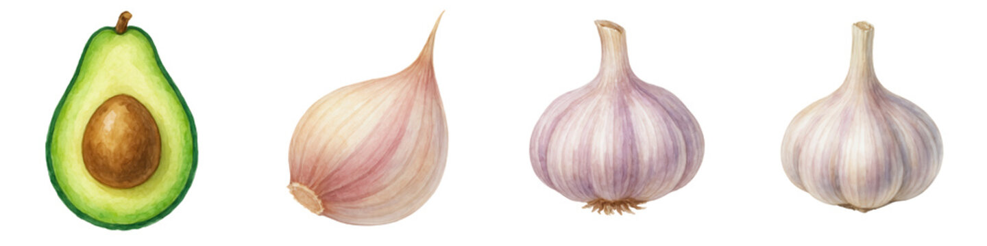 Avocado and garlic bulbs with clove on transparency background for vegan world day healthy food concept watercolor