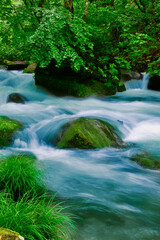 初夏の奥入瀬渓流・石ケ戸の瀬（青森県・十和田市）