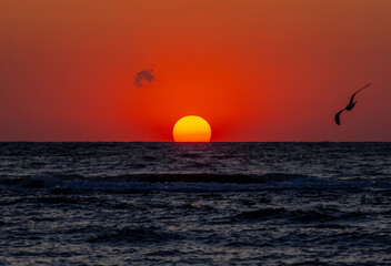 Sunrise over the sea with a large sun rising from the water