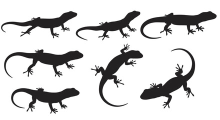 Collection of Lizard Silhouettes on White Background in Various Poses a Reptile Silhouette