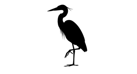 Elegant Great Blue Heron Standing on One Leg in Silhouette