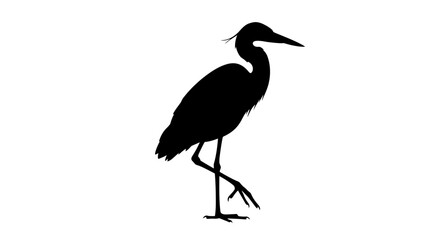 Elegant Heron Standing on One Leg Silhouette