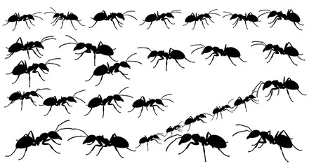 Seamless Pattern of Ants Marching in Black Silhouette on White Background silhouette