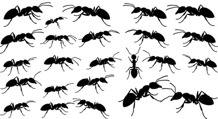 Seamless Pattern of Ants in Black Silhouette Style on White Background silhouette