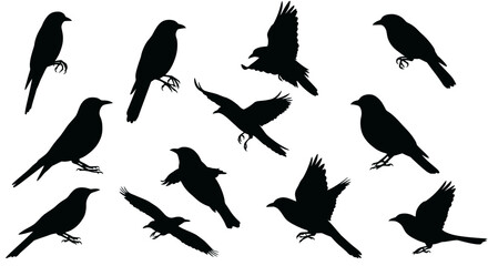 Seamless Pattern of Flying and Perched Black Birds Silhouette