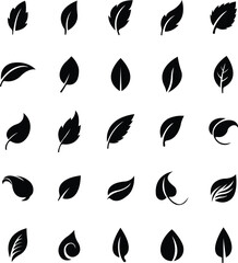leaf vector silhouette collection for eco design, natural leaf vector icons pack