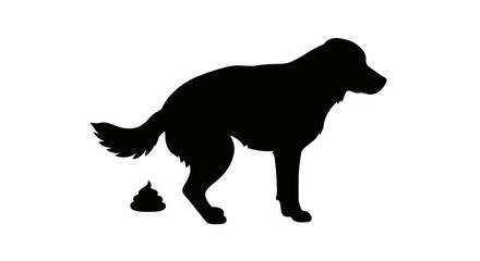 Image Processing Complete