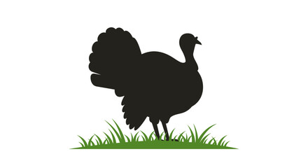 Image Processing Complete