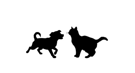 Image Processing Complete