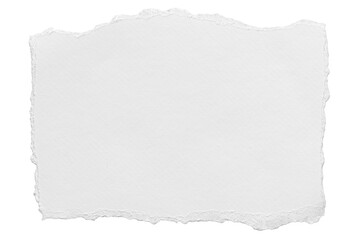 ripped element set of torn paper edges isolated with clipping path on background. torn paper texture, ripped of paper designs and jagged paper edges create a raw, artistic look