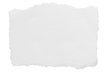 ripped element set of torn paper edges isolated with clipping path on background. torn paper texture, ripped of paper designs and jagged paper edges create a raw, artistic look