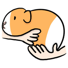 Guinea pig being held gently by hands. Cute illustration showing pet care and affection.
