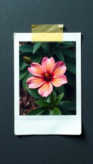 Creased polaroid, secured with masking tape, faded colors, masking tape, film, old