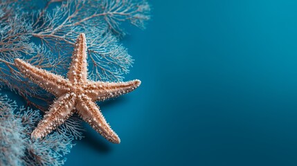 Coastal Christmas Theme with Starfish and Coral on Blue Background
