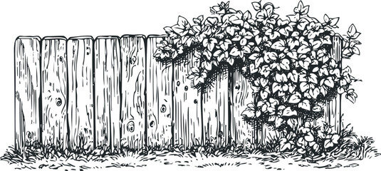 Wood Fence with Overgrown Greenery and Grass